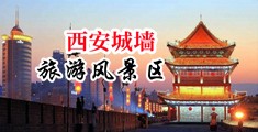 操操操操骚逼中国陕西-西安城墙旅游风景区